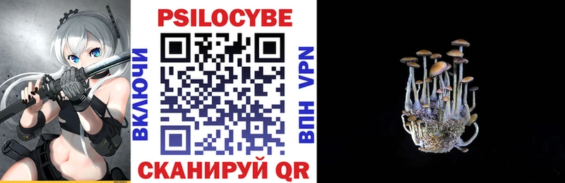 Купить закладки  Старая Купавна  Псилоцибиновые грибы Cubensis 